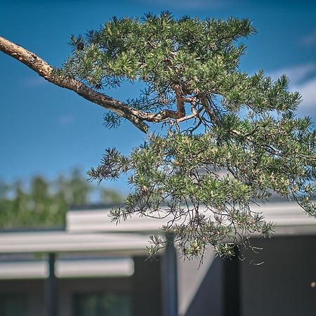 Turaidas Kvartals Jūrkalne Exteriör bild